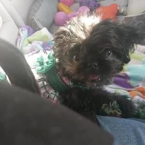 Meet your Posher, Sherri